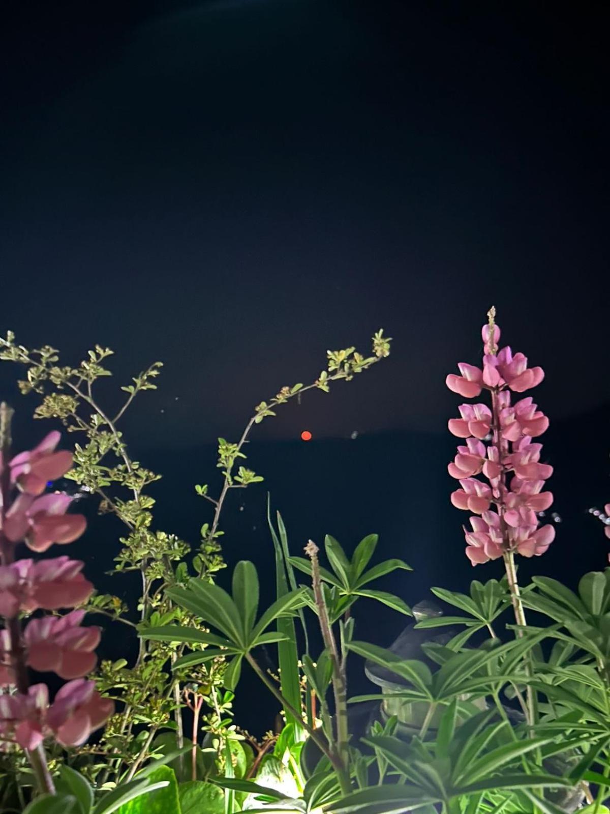Murmincho Homestay ดาร์จีลิง ภายนอก รูปภาพ